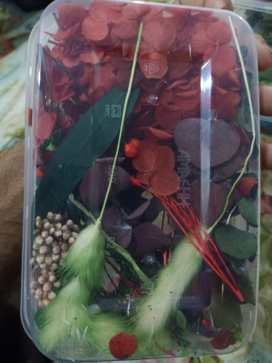 Mixed Color Dried Flowers for Resin & Crafts