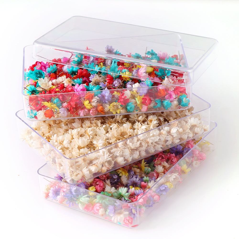 200pcs Mini Dried Flowers for Resin, Jewelry & Nail Art