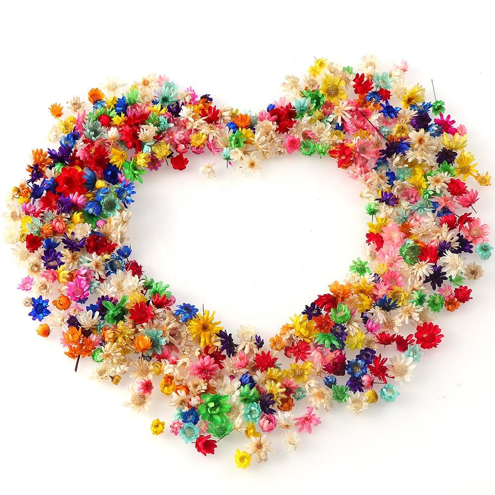 200pcs Mini Dried Flowers for Resin, Jewelry & Nail Art